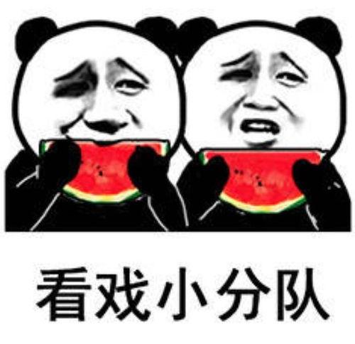 吃瓜娱乐去哪里了