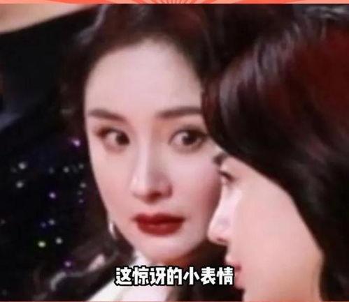 娱乐圈吃瓜完结小说推荐